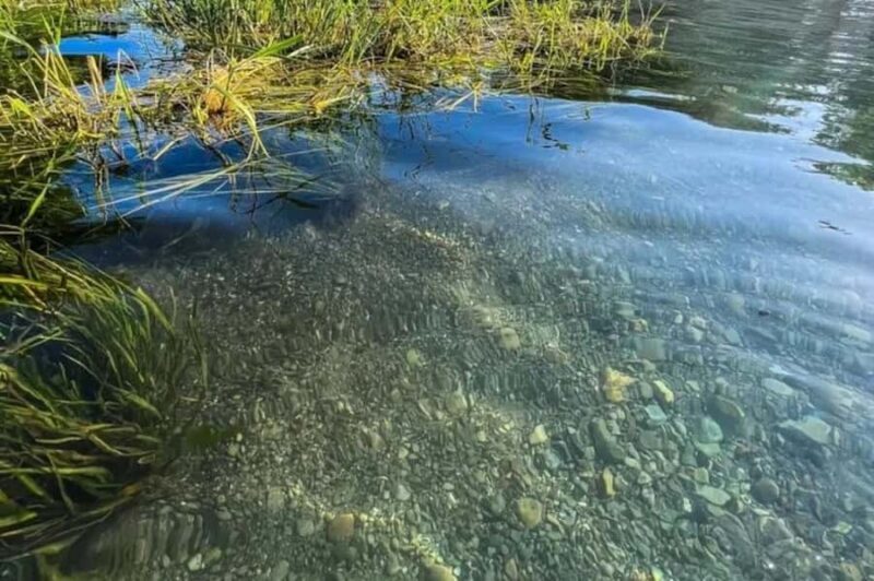San Marcos: Clear Kayak Eco Tour on Spring-Fed River - Who Should Consider This Tour?