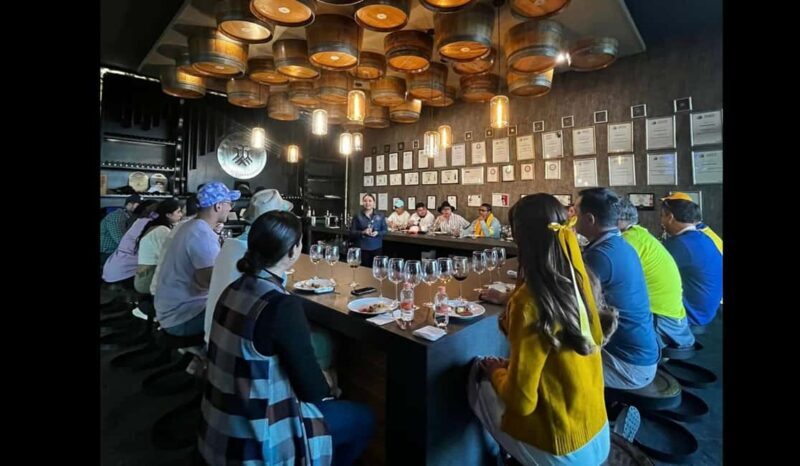 San Miguel Allende: Guanajuato Wine Route vineyard tour - A Closer Look at the Tour Experience