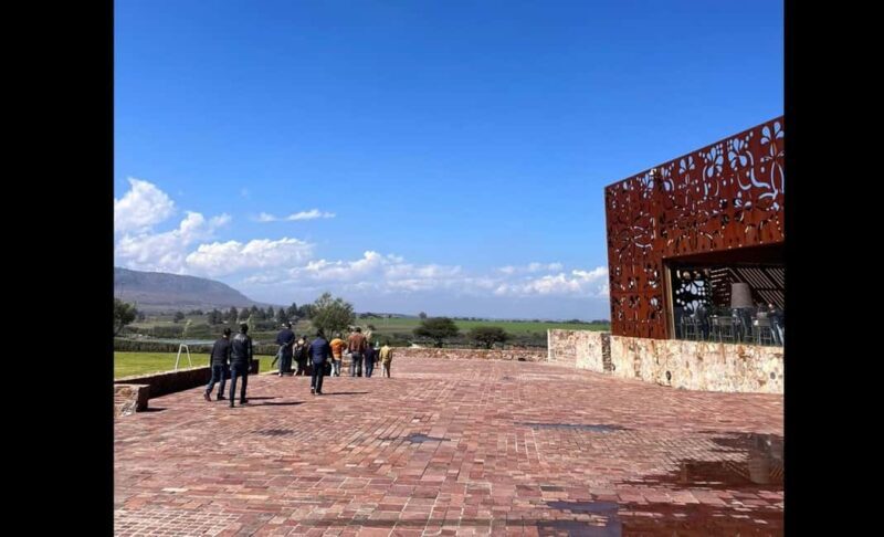 San Miguel Allende: Guanajuato Wine Route vineyard tour - Practical Tips for Travelers