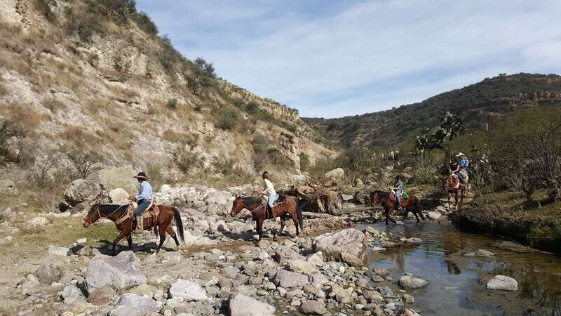 San Miguel Allende: Half-Day Horseback Riding Adventure - An In-Depth Look at the Experience