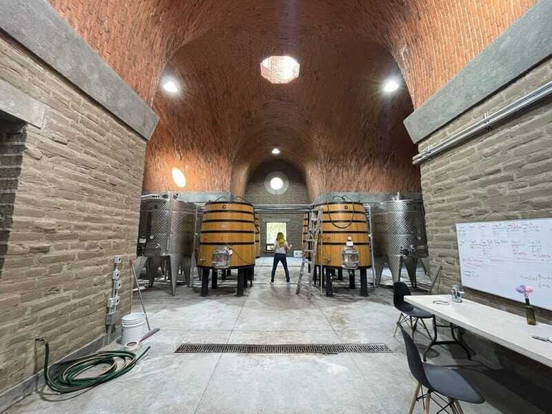 San Miguel de Allende: A Journey Through Vineyards - The Experience Provider and Practical Details