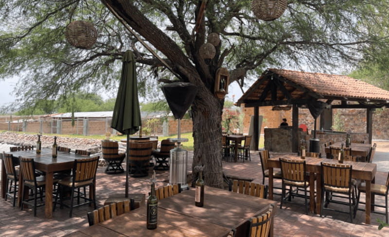 San Miguel de Allende: A Journey Through Vineyards - Who Should Consider This Tour?