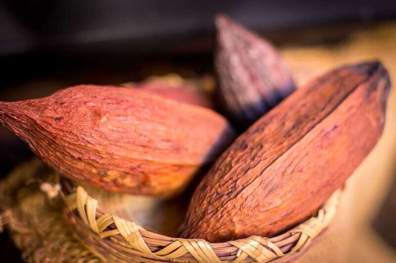 San Miguel de Allende: Chocolate Tasting and Walking Tour - Who Should Consider This Tour?