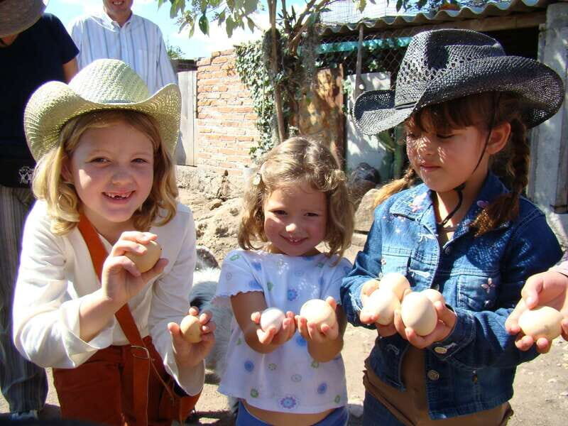 San Miguel de Allende: Full-Day Ranch Adventure - The Campfire and Ranch Cuisine