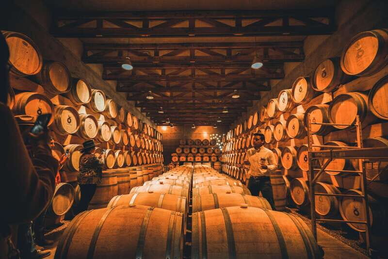 San Miguel de Allende: Independence Valley Wine Route - Final Thoughts