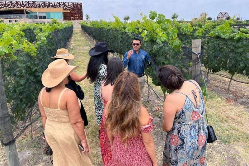 San Miguel de Allende: Local Vineyard Tour & Wine Tasting - An Authentic Wine Experience Just Outside San Miguel de Allende