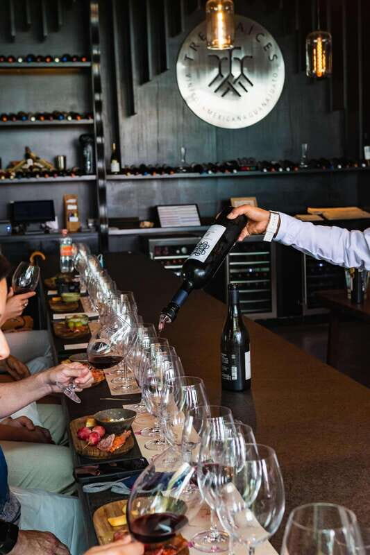 San Miguel de Allende: Local Vineyard Tour & Wine Tasting - Authenticity and Overall Impression