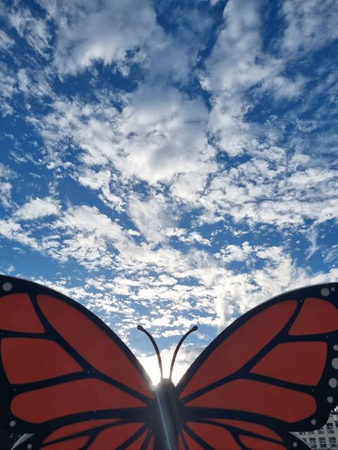 San Miguel de Allende: Monarch Butterflies Tour - Authenticity and Value