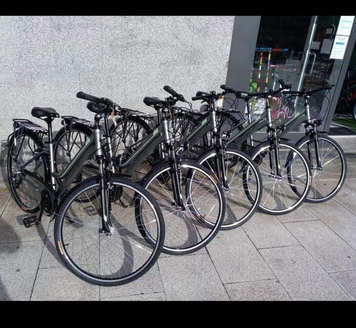 San Sebastian: Bike tour with FREE snack & drink! - Key Points