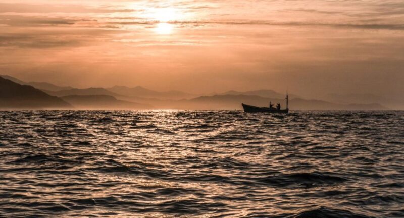 San Sebastian: Coast, Seafood and Wine Tour - The Sum Up