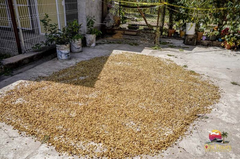 San Sebastian Del Oeste: Private Trip from Puerto Vallarta - An Authentic Day in the Sierra Madre