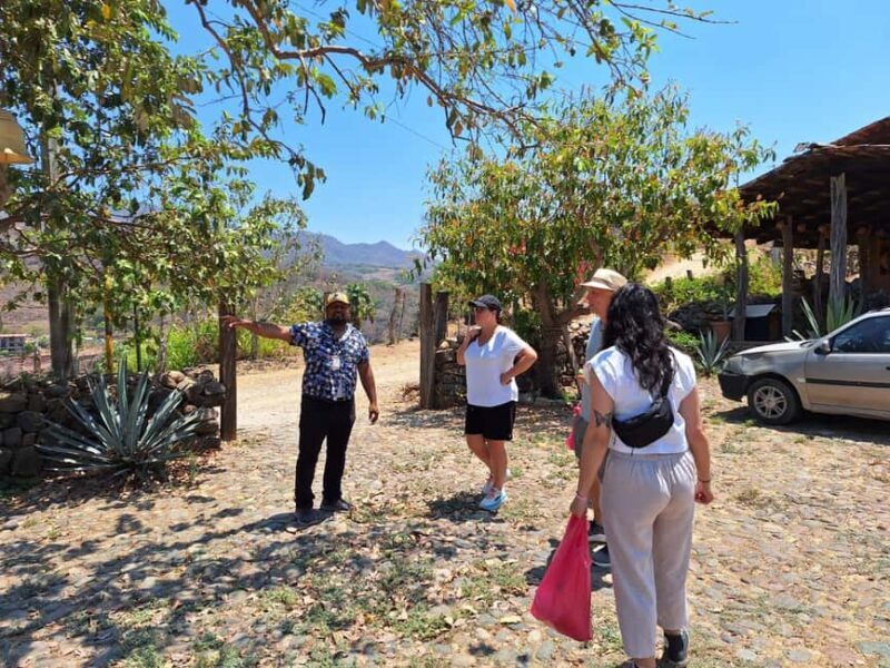 San Sebastian del Oeste: Tequila Tasting and Coffee Tour - The Sum Up