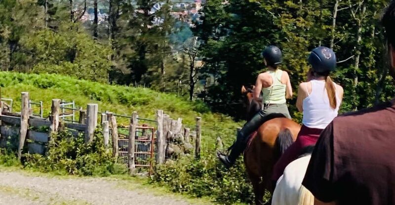 San Sebastian: Horseback Riding & Traditional Delights - Who Will Love This Tour?