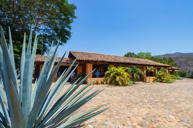 San Sebastian Tour - The Walking Tour: A Closer Look