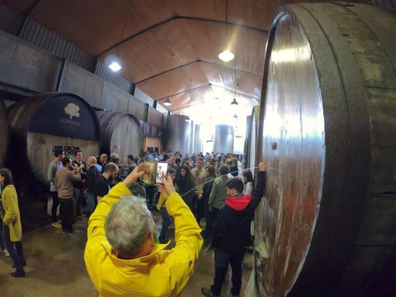 San Sebastián: Unique and Fun Basque Cider Culture Tour - An In-Depth Look at the Tour Experience