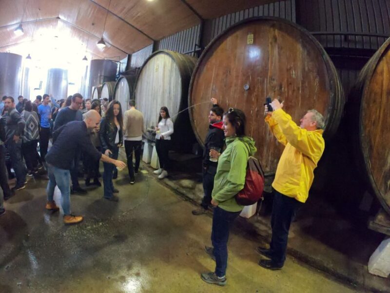 San Sebastián: Unique and Fun Basque Cider Culture Tour - Who Will Love This Tour?