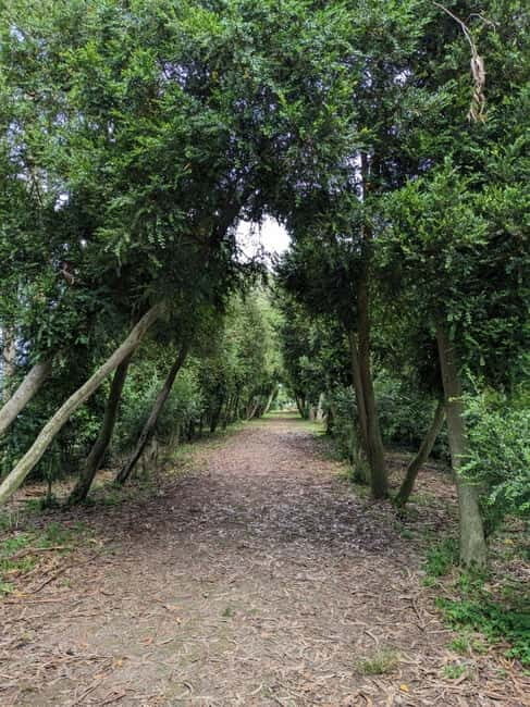 San Simón Island Excursion - An Honest Look at the San Simón Island Tour