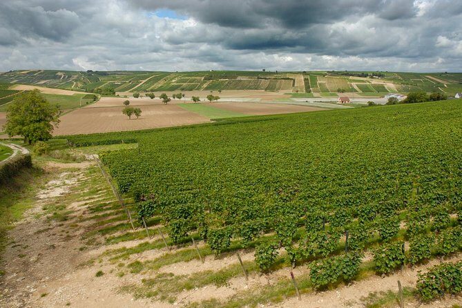 Sancerre & Pouilly-Fumé Wine Tour with Local Goats' Cheese and the River Loire - FAQ