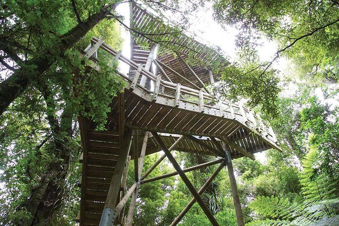 Sanctuary Mountain (Mt Maungatautari) & Hamilton Gardens Day trip from Auckland - A Closer Look at the Itinerary