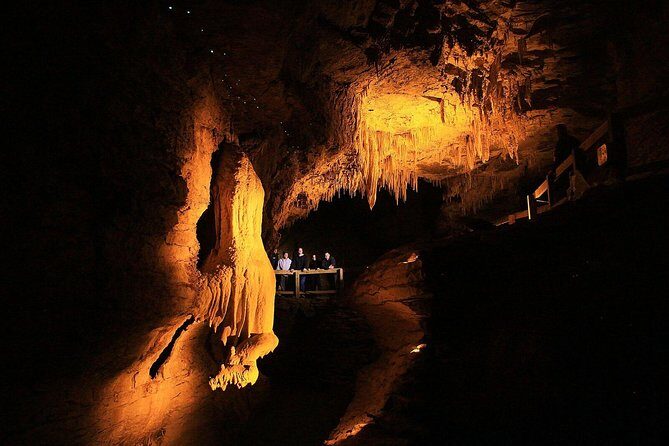 Sanctuary Mountain (Mt Maungatautari) & Waitomo Luxury Day tour from Auckland - Analyzing the Value