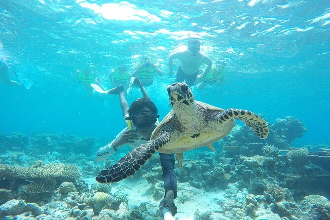 Sandbank Snorkeling and Sunset Cruise - What You Can Expect from the Experience
