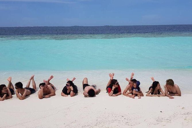 Sandbank, Snorkeling, Dolphin Cruise, Picnic, Local Island Tour - What to Expect for Your Money