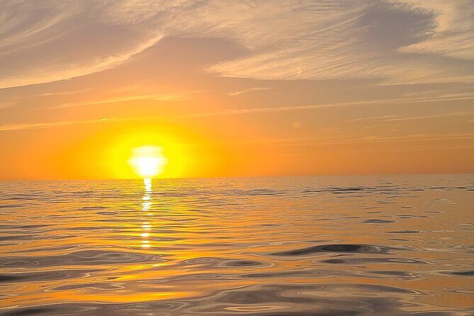 Sandbar, Beach, Dolphin Watching Cruise Sarasota, Florida - A Deeper Dive into the Sarasota Boat Tour