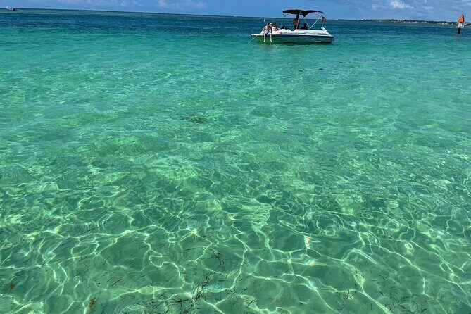 Sandbar Excursion - The Value of the Tour