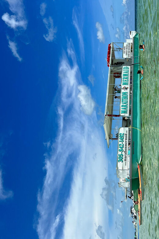 Sandbar Excursion - Vacation Like the Locals Do! - The Sum Up