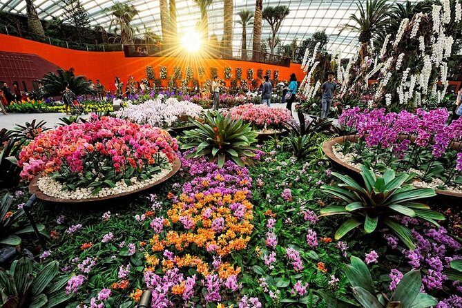 SandsSkyPark+GardensbytheBay(FlowerDome&Jurassic World)Transfers - Insights from Real Reviewers