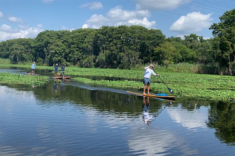 Sanford: Guided SUP or Kayak Manatee-Watching Tour - Key Points
