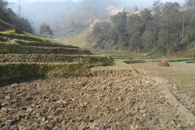 Sanga to Panauti community hike with stop at tallest Shiva statue of the world - An In-Depth Look at the Sanga to Panauti Community Hike