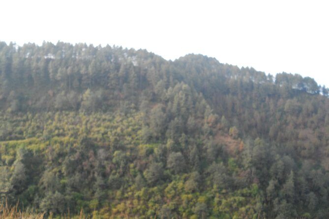 Sanga to Panauti community hike with stop at tallest Shiva statue of the world - Practical Insights and Tips