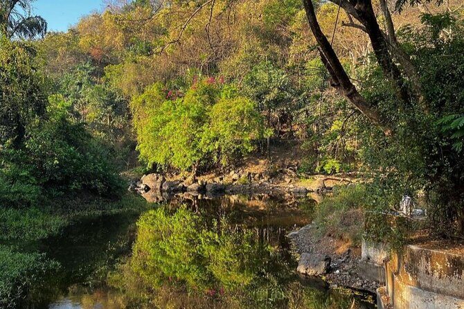 Sanjay Gandhi National Park and Kanheri Caves Day Private Tour - What to Expect from the Tour