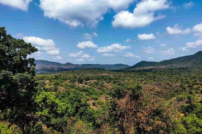Sanjay Gandhi National Park and Kanheri Caves Guided Tour - Final Word