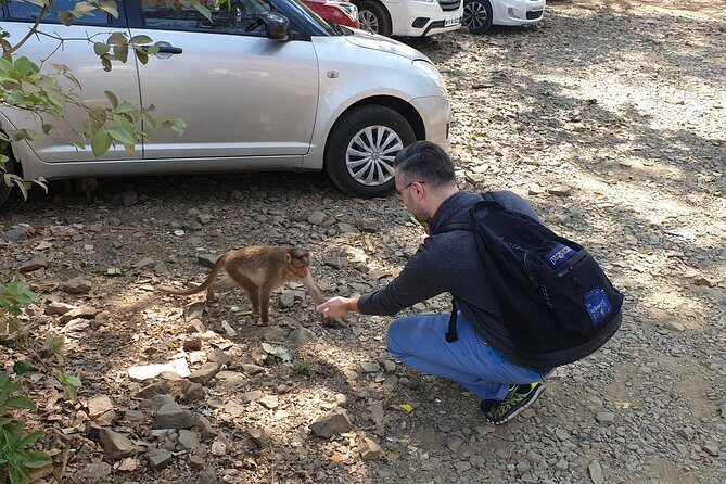 Sanjay Gandhi National Park(SGNP) + Kenheri Caves + Lion Safari + Jain Temple - The Sum Up
