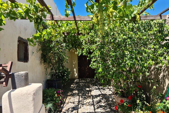 Sanotini Oia Wine Tasting and Local Places Half Day Tour - An In-Depth Look at the Santorini Wine Tour