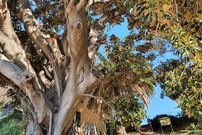 SANREMO FOOD TOUR - Authentic Ligurian street food and Medieval town - Key Points