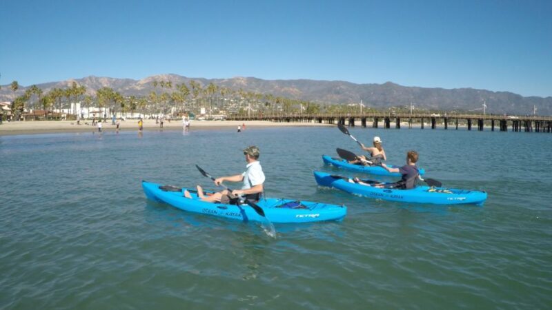 Santa Barbara: 1.5-Hour Harbor Kayak Tour - Key Points