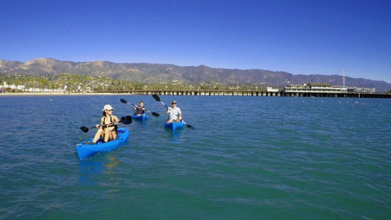 Santa Barbara: 1.5-Hour Harbor Kayak Tour - The Experience in Detail