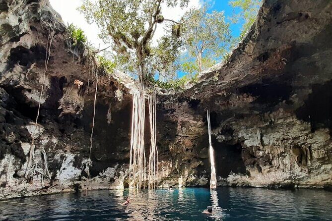Santa Barbara 4 Cenotes and Bicycles with Lunch from Mérida - What Sets This Tour Apart?