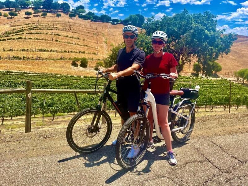 Santa Barbara: E-bike wine tour w/ transport, tasting, lunch - Exploring the Itinerary in Detail