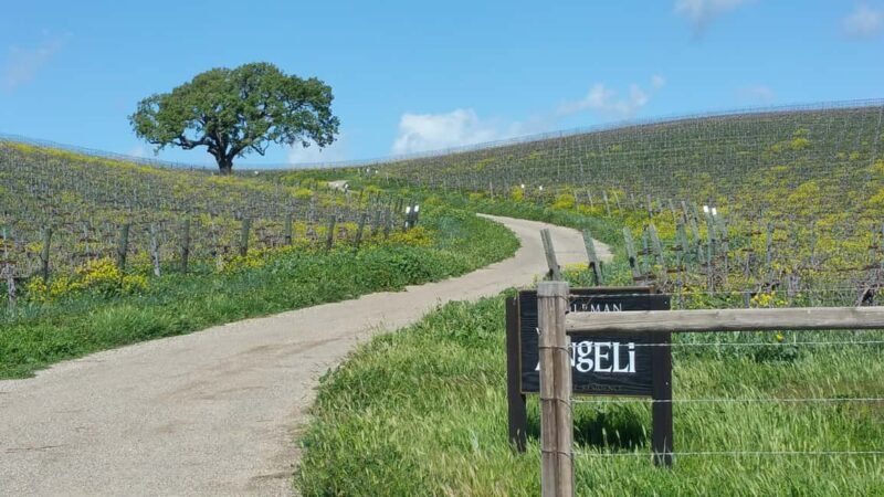 Santa Barbara: E-bike wine tour w/ transport, tasting, lunch - Authentic Traveler Experiences