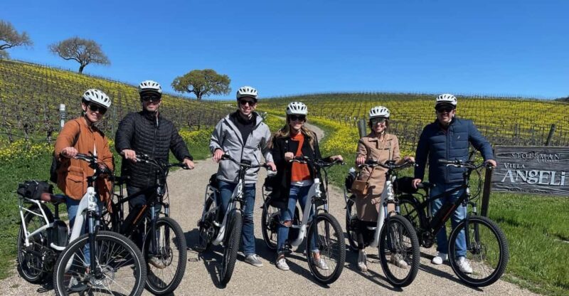 Santa Barbara: E-bike wine tour w/ transport, tasting, lunch - The Value of the Experience