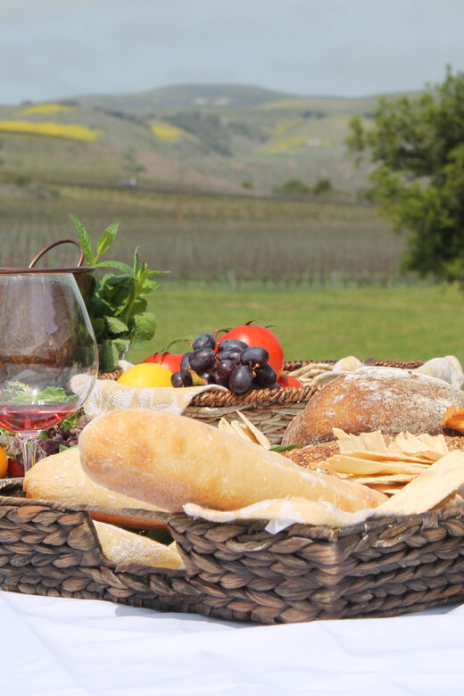 Santa Barbara: E-bike wine tour w/ transport, tasting, lunch - Who Will Love This Tour?