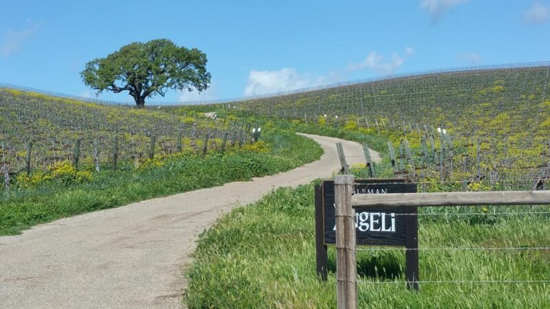 Santa Barbara: E-bike wine tour w/ transport, tasting, lunch - The Sum Up