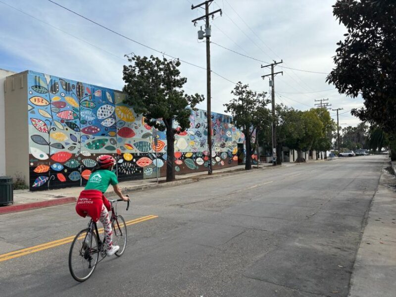 Santa Barbara: Guided Tour on electric bikes (private) - Key Points