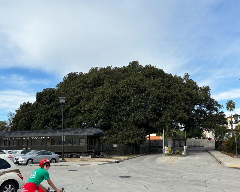 Santa Barbara: Guided Tour on electric bikes (private) - Authentic Perspectives from Other Travelers