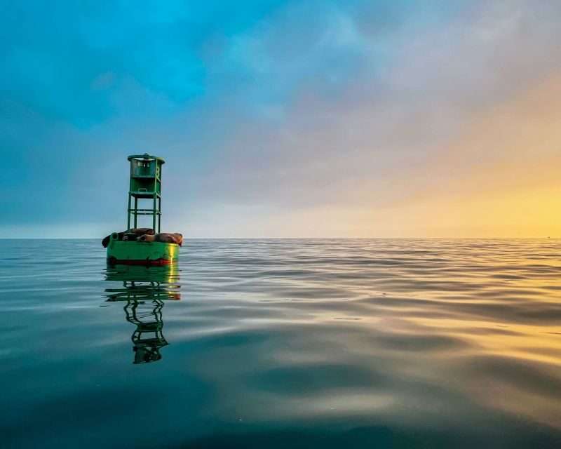 Santa Barbara Harbor: Sunset Kayak Tour (2 Hours) - What to Expect from the Santa Barbara Sunset Kayak Tour