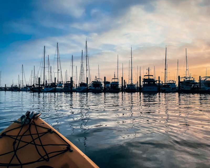 Santa Barbara Harbor: Sunset Kayak Tour (2 Hours) - The Sum Up